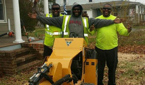 Stump Grinding Professional — Happy Workers With Stump Removal Machine in Glen Burnie, MD
