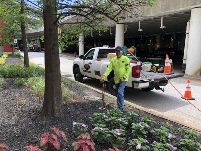 Tree Injections — Worker Holding Tree Injection Equipment in Glen Burnie, MD