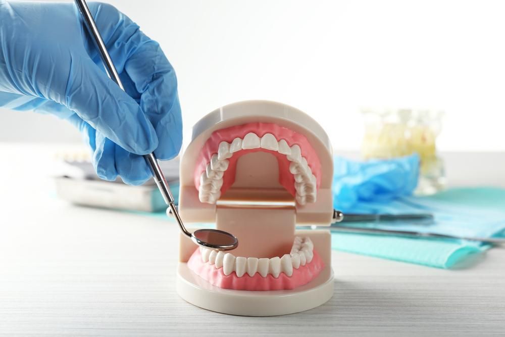 A Dentist Is Examining a Model of Teeth with A Mirror — Cosmetic Denture Services–Jacob Maxwell in Moranbah, QLD