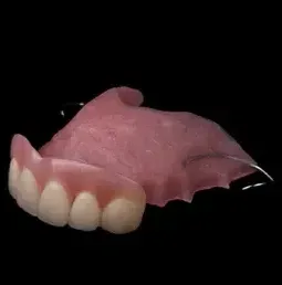 A Close Up of a Denture — Cosmetic Denture Services–Jacob Maxwell in Moranbah, QLD
