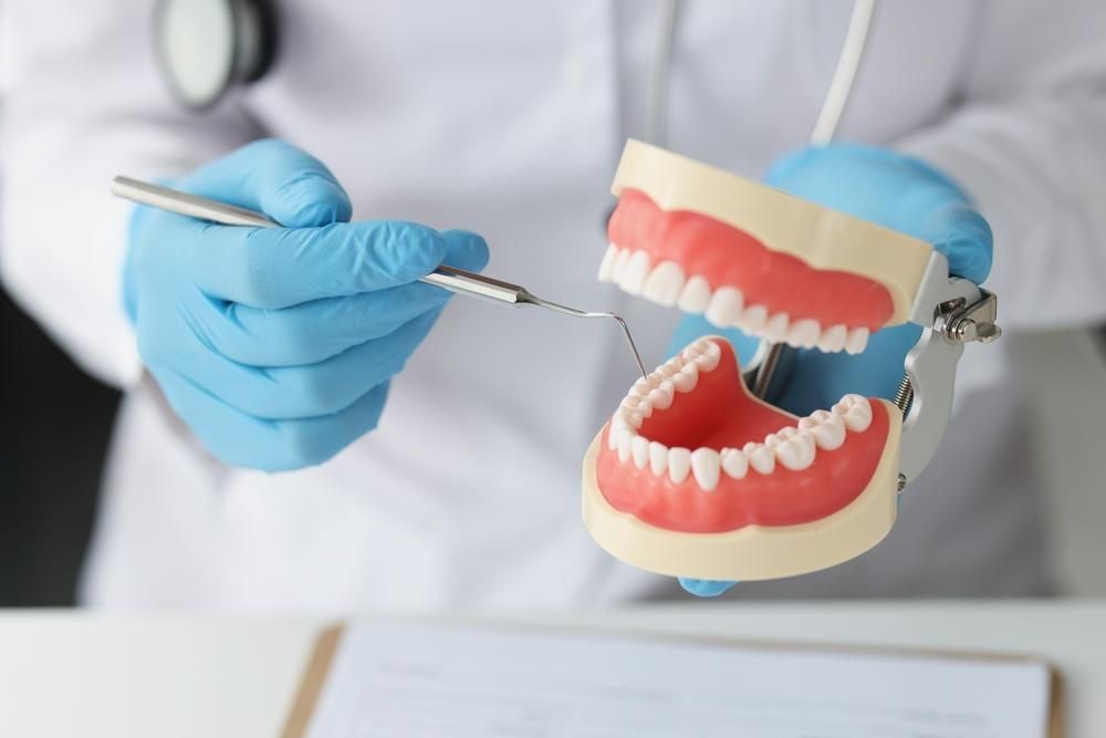 A Dentist Is Examining a Model of Teeth with A Dental Tool — Cosmetic Denture Services–Jacob Maxwell in Moranbah, QLD