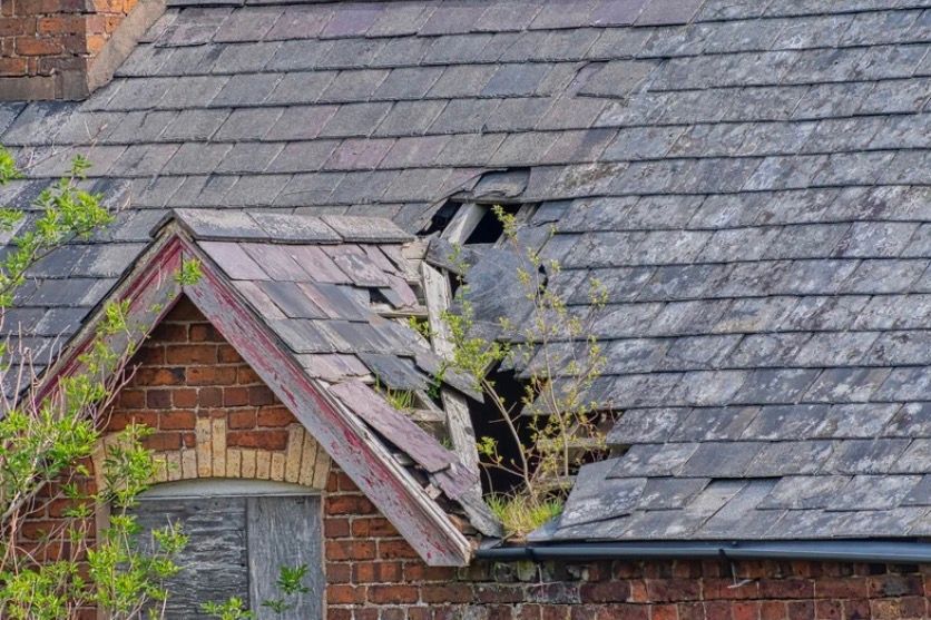 Damaged shingled roof with a large hole and a small tree growing through it over a brick house