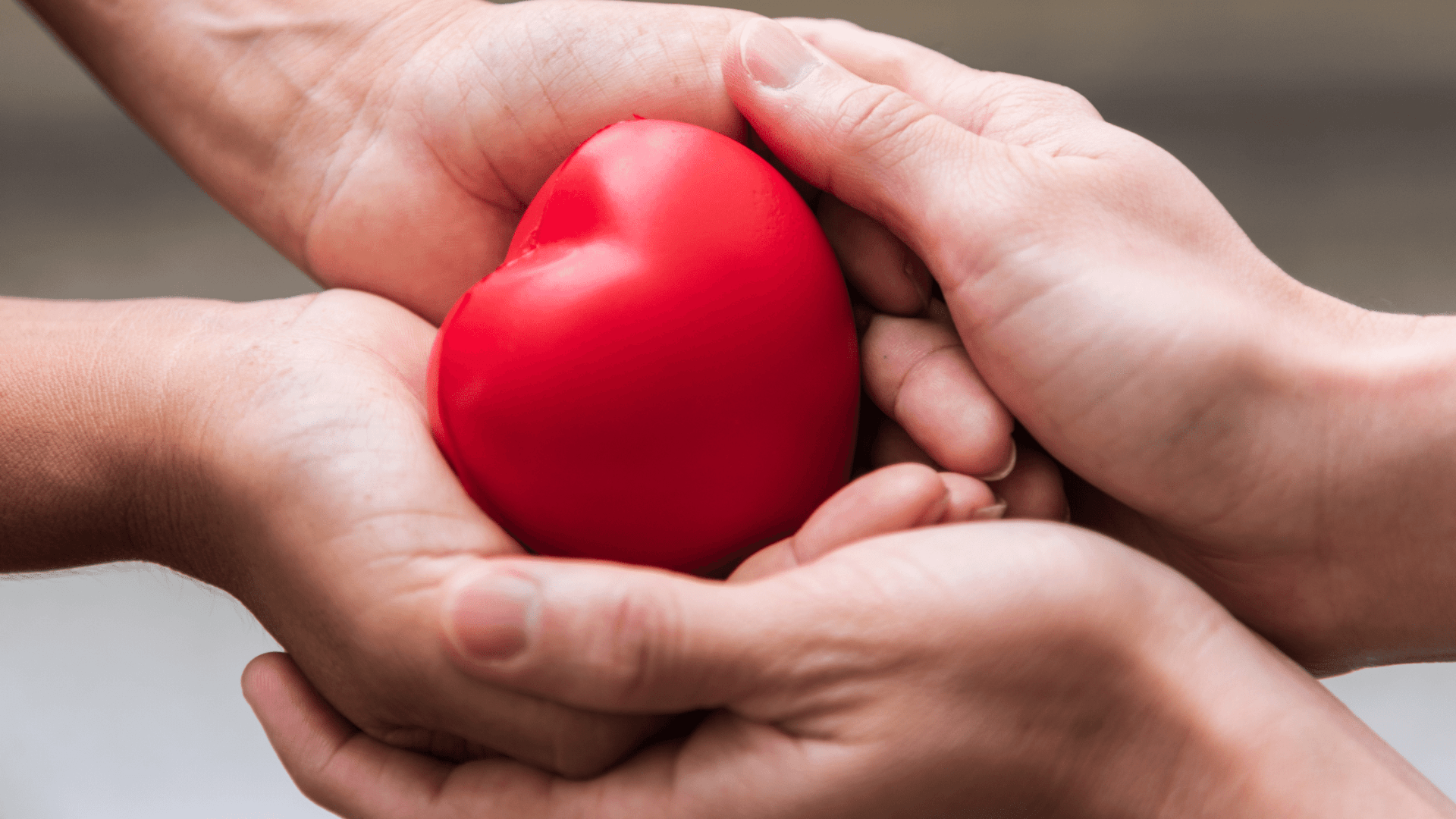 Understanding Anonymous vs Open ID Egg Donor