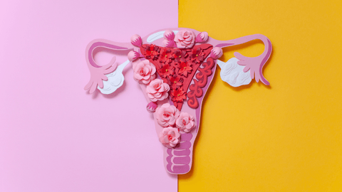 Endometriosis - Symptoms, Causes, Possible Treatments