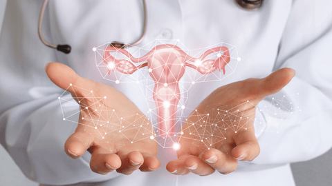 Symptoms and causes of bulky uterus