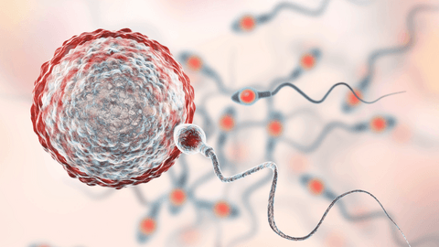 signs  and symptoms of low sperm motility