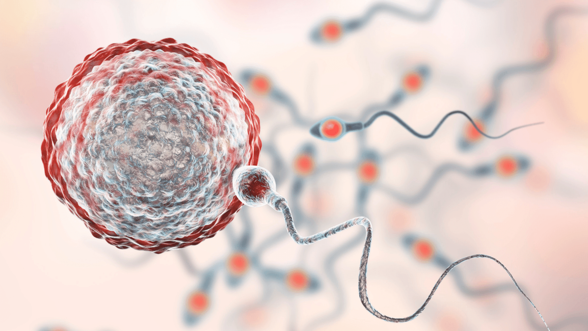 low-sperm-motility-symptoms-causes-and-fertility-treatments