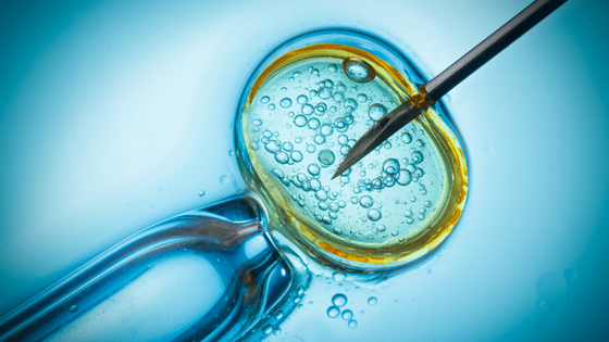 What is artificial insemination?