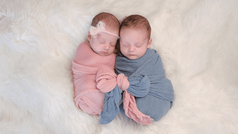 twins with ivf