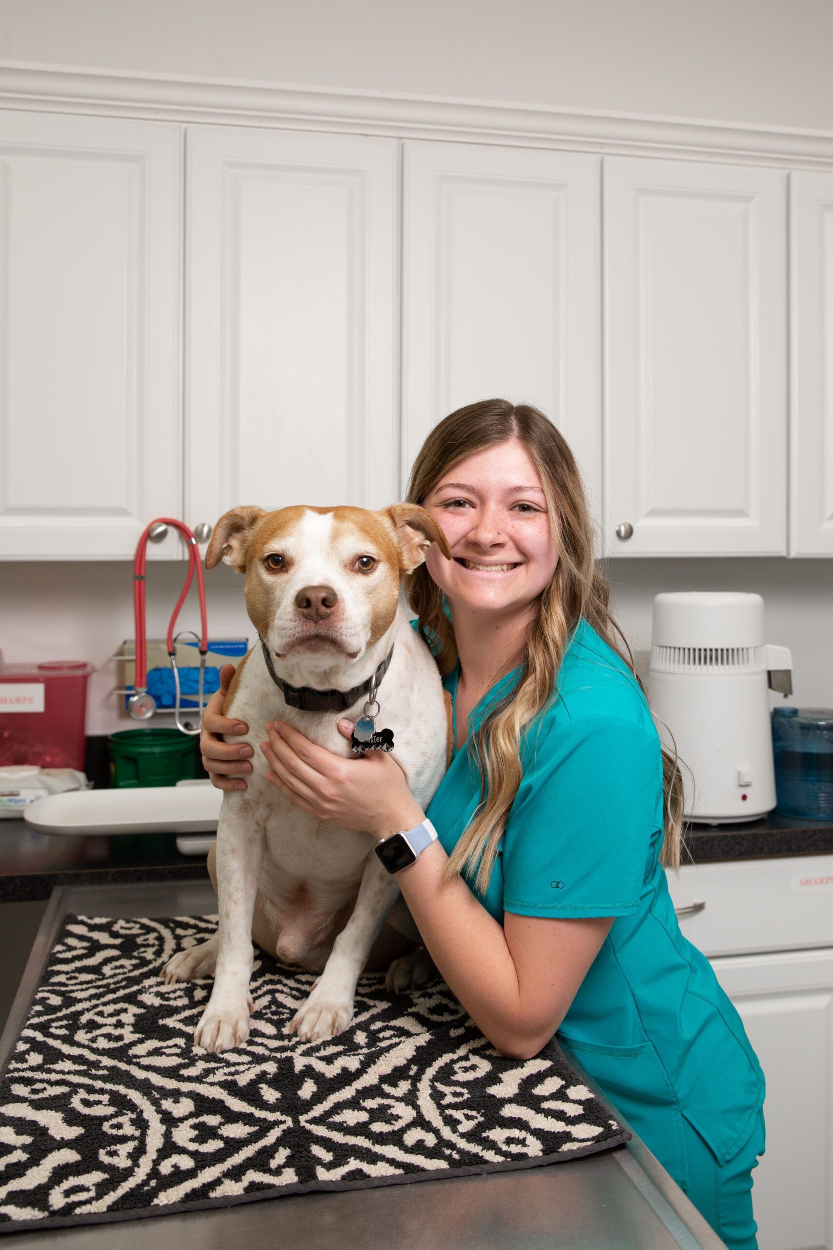 A woman is holding a dog on a table in a veterinary office.