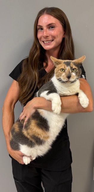 A blue icon of a person without a face on a white background.