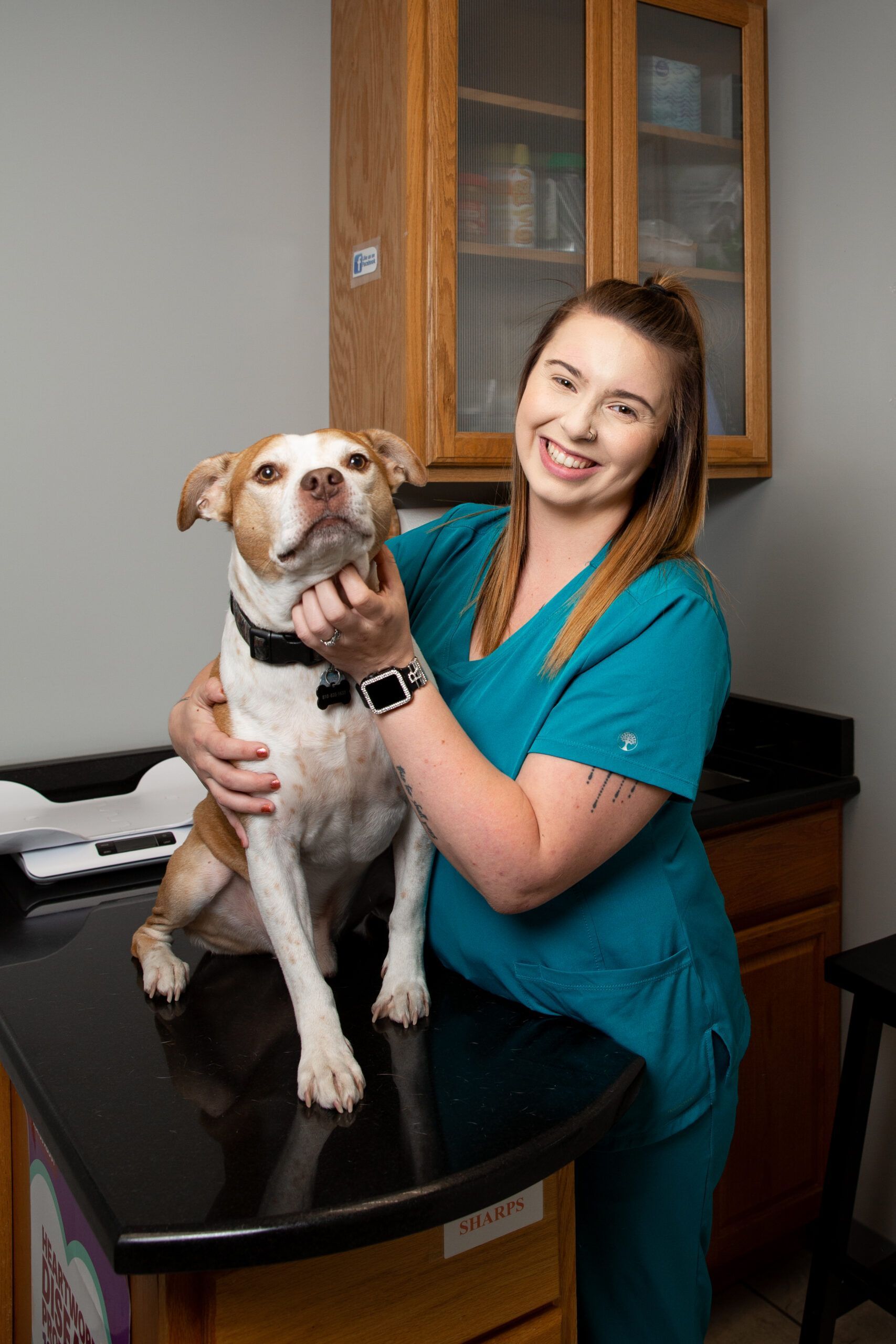 A woman is holding a brown and white dog on a table.