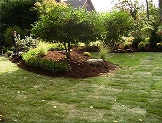 backyard-landscaping_70182032_std