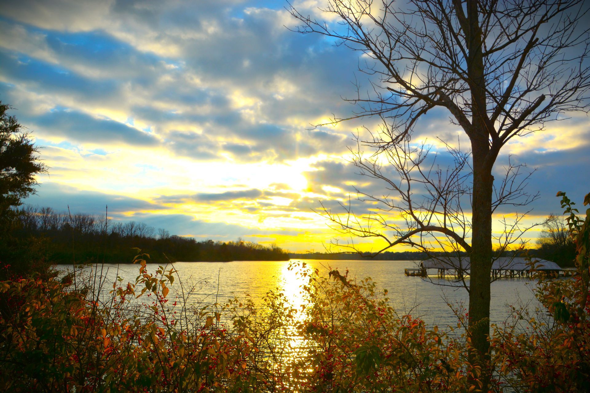 Golden sunset over lake, silhouetted tree branches, colorful sky reflecting on water.
