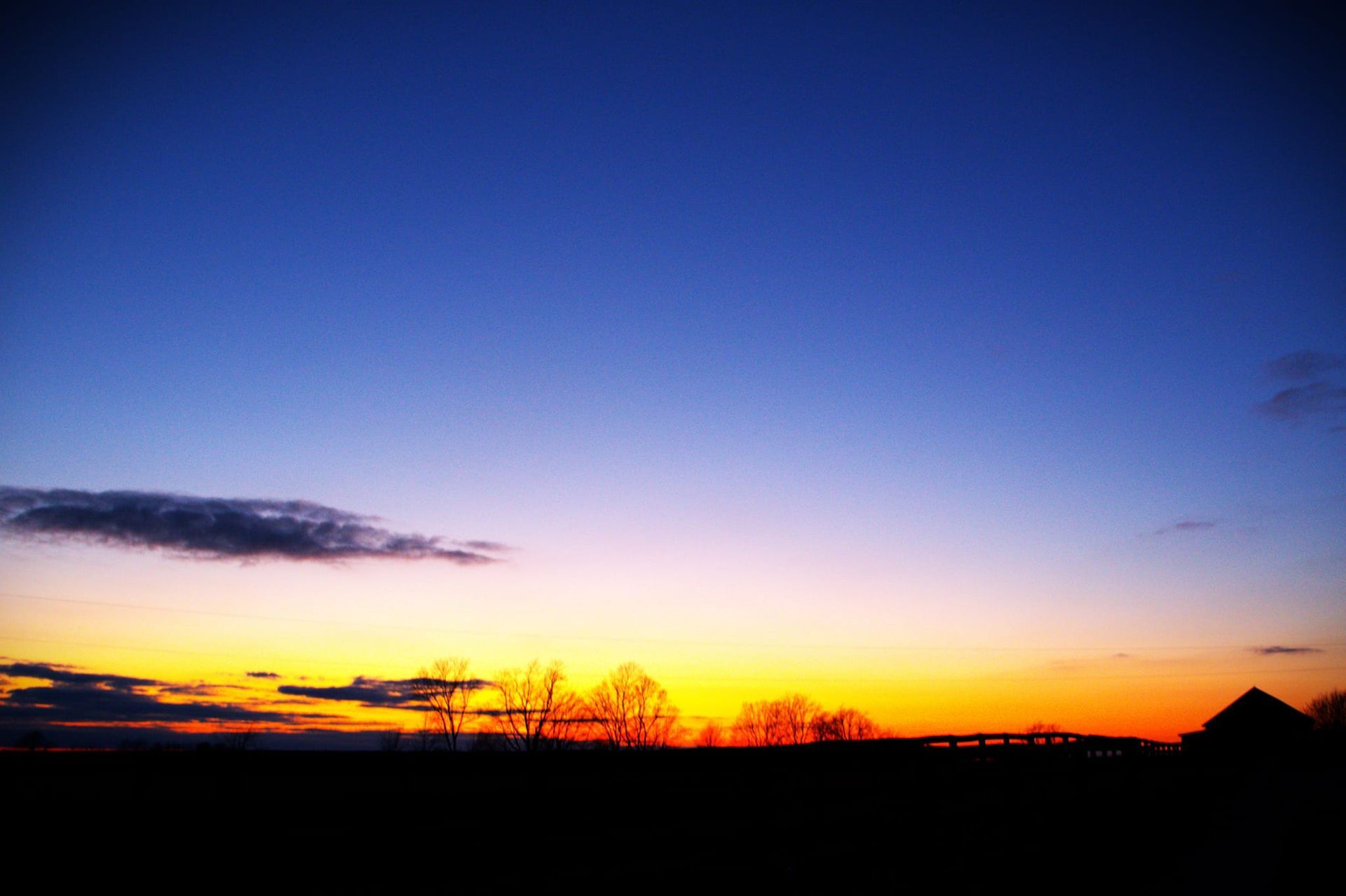 Sunset with a gradient sky of blue, purple, and orange over silhouetted trees and a building.