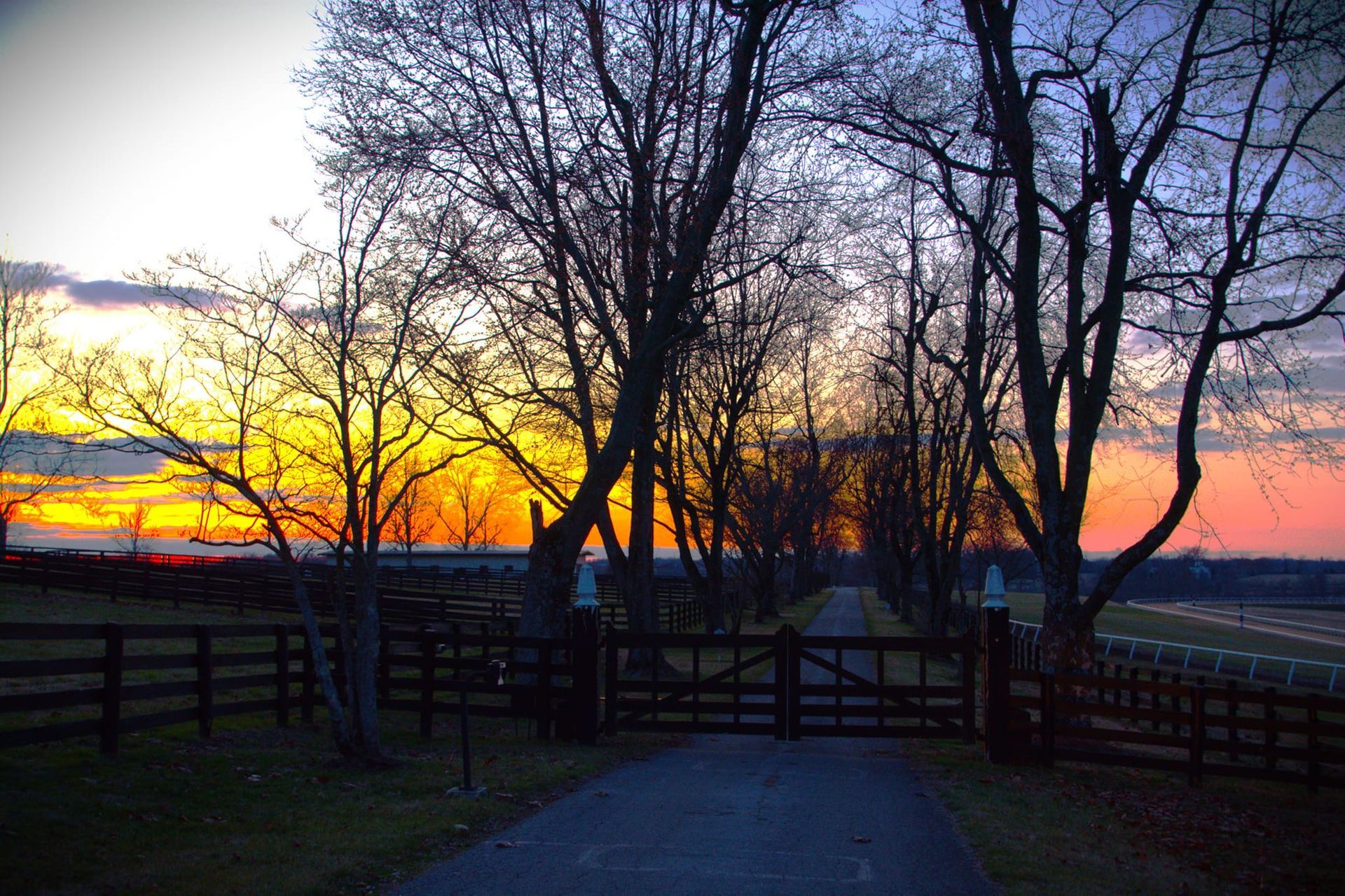 Sunset over a tree-lined driveway, framed by a wooden fence, with a colorful sky.