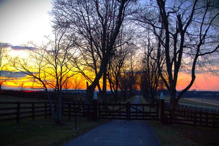 Sunset over a tree-lined driveway with wooden fences and a closed gate; vibrant orange and purple sky.