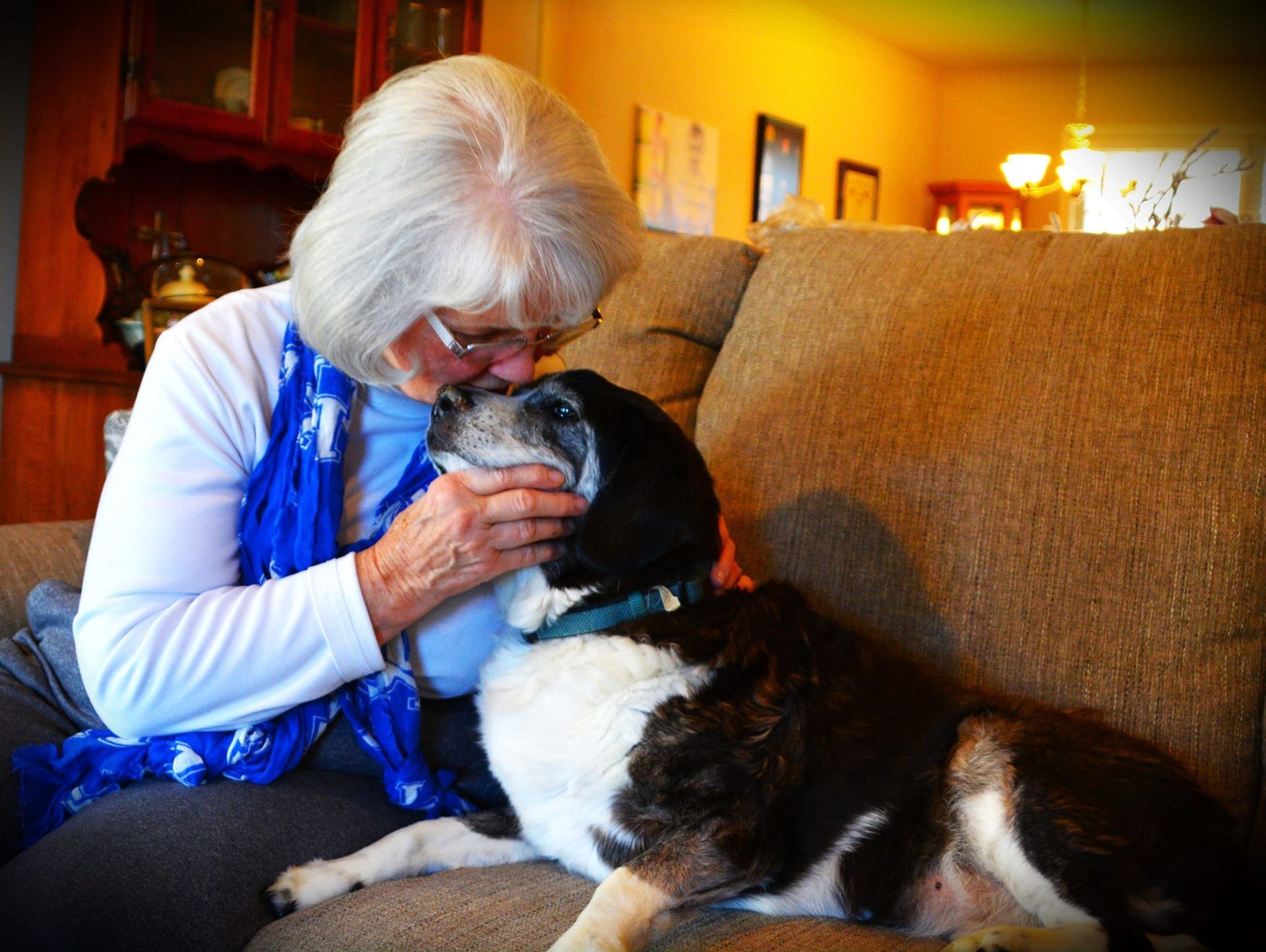 Woman kissing a black and white dog on a sofa.