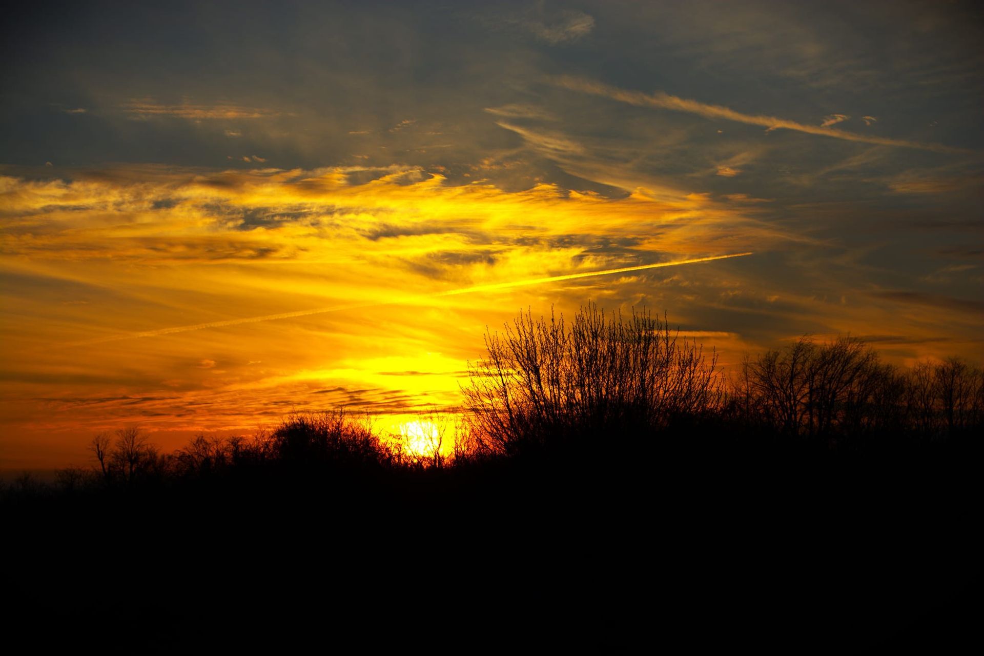 Golden sunset over silhouetted trees with streaks of clouds.