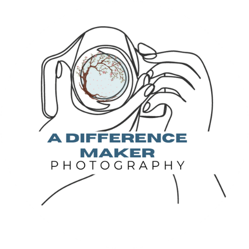 Line drawing of hands holding a camera with a tree scene in the lens.