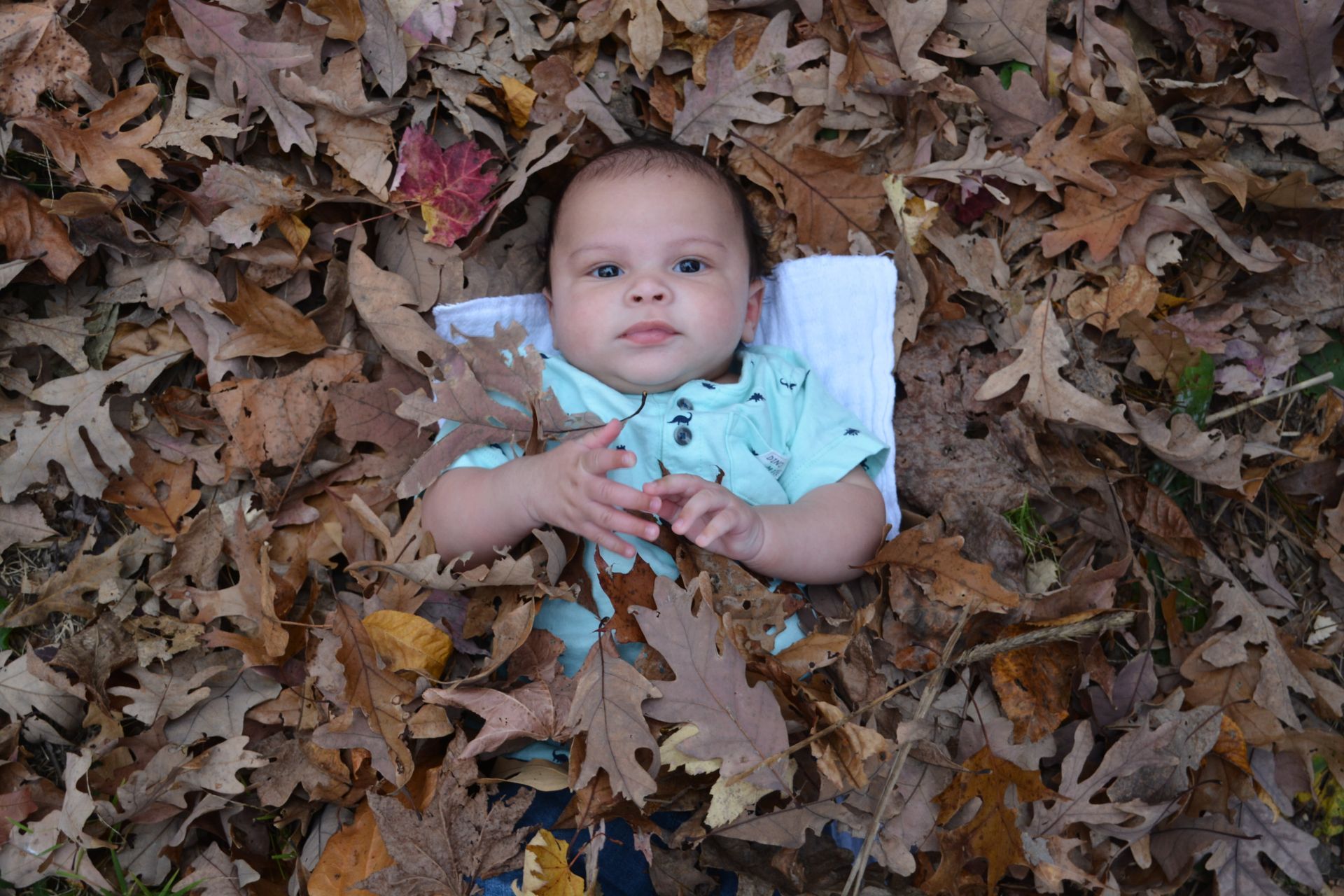 Baby lying on a white cloth surrounded by autumn leaves; wearing a blue shirt.