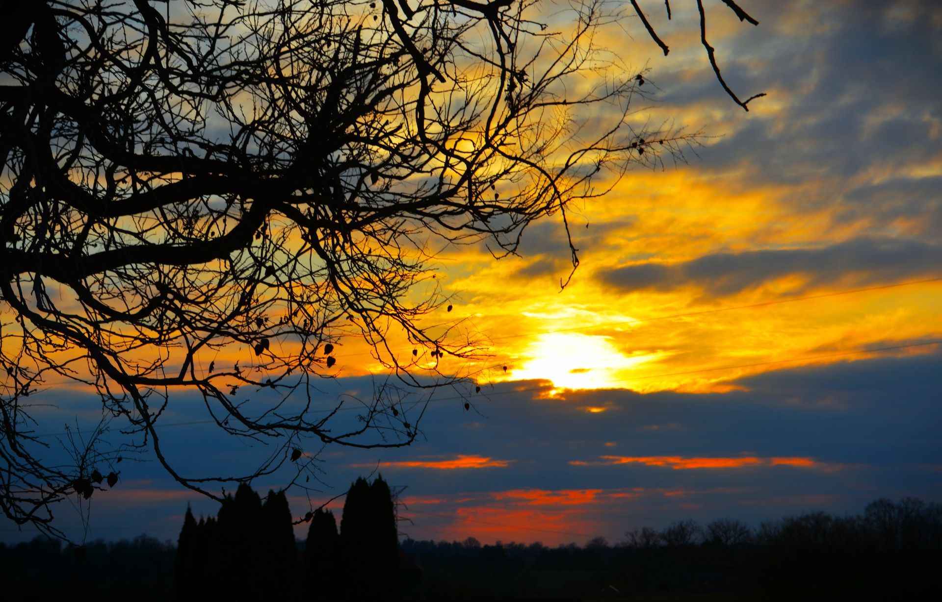 Silhouette of bare tree branches against a vibrant orange and blue sunset.