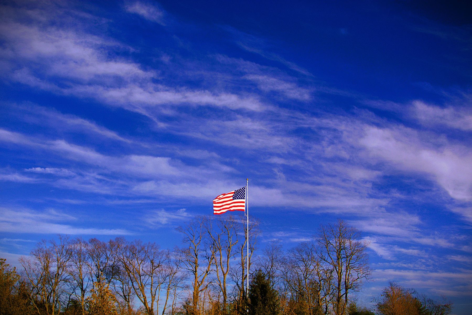 American flag waving against a bright blue sky with streaky white clouds; bare tree line in foreground.