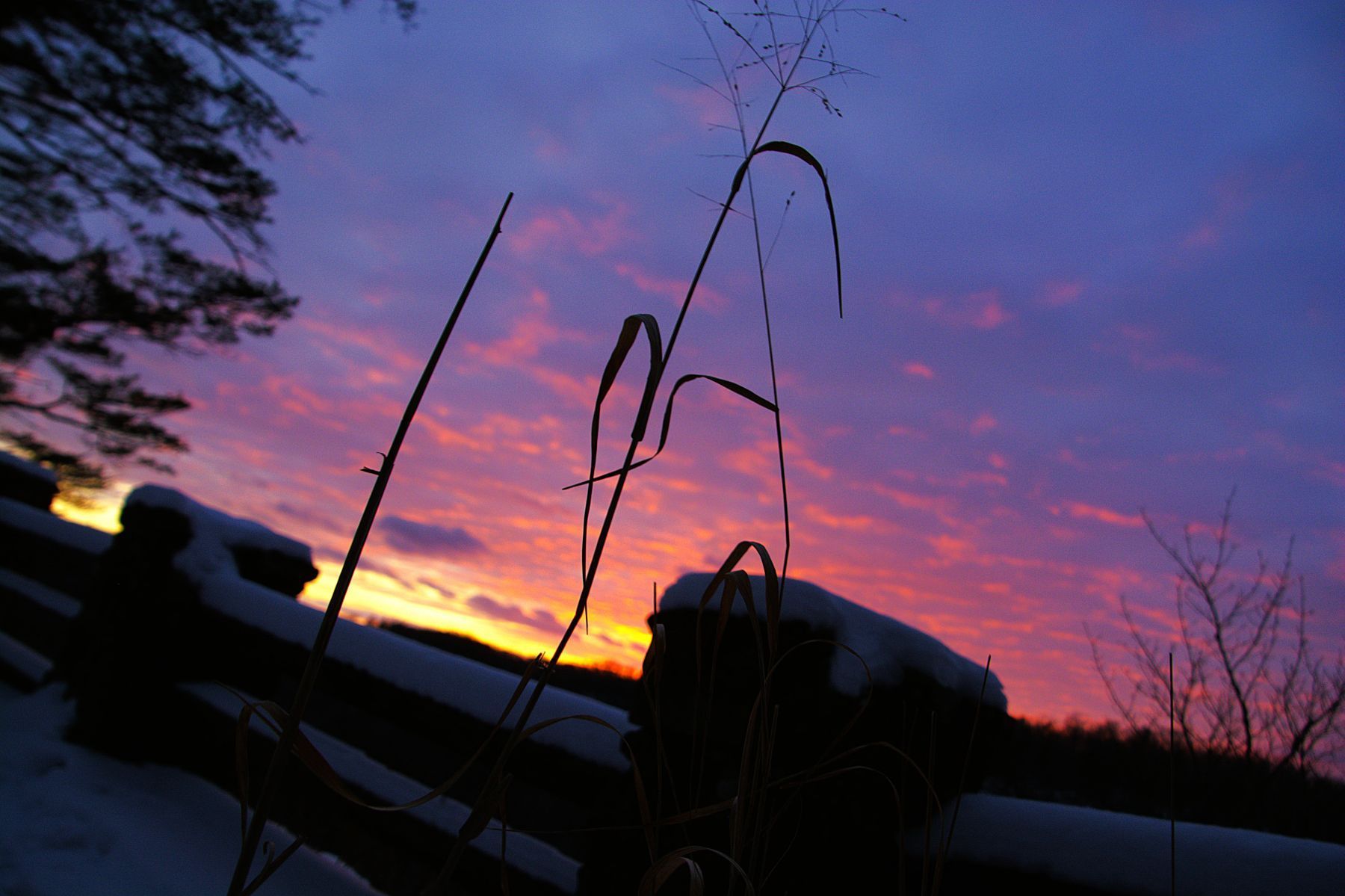 Sunset over snowy fence and field, with silhouetted grasses and vibrant orange/pink/purple sky.