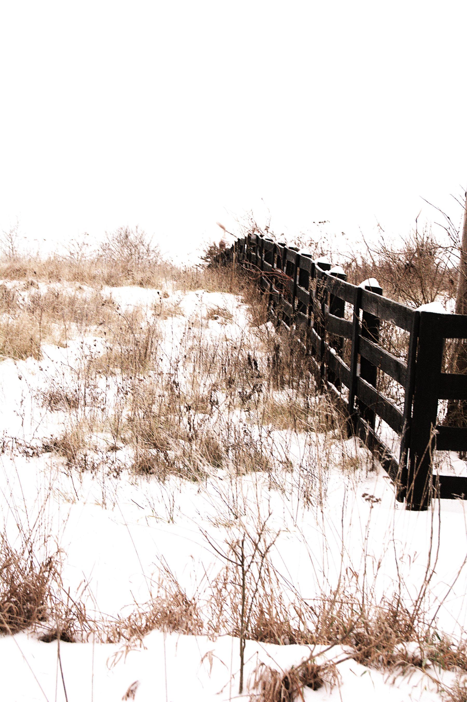 A dark wooden fence slopes across a snow-covered field with dry grass and a white sky.