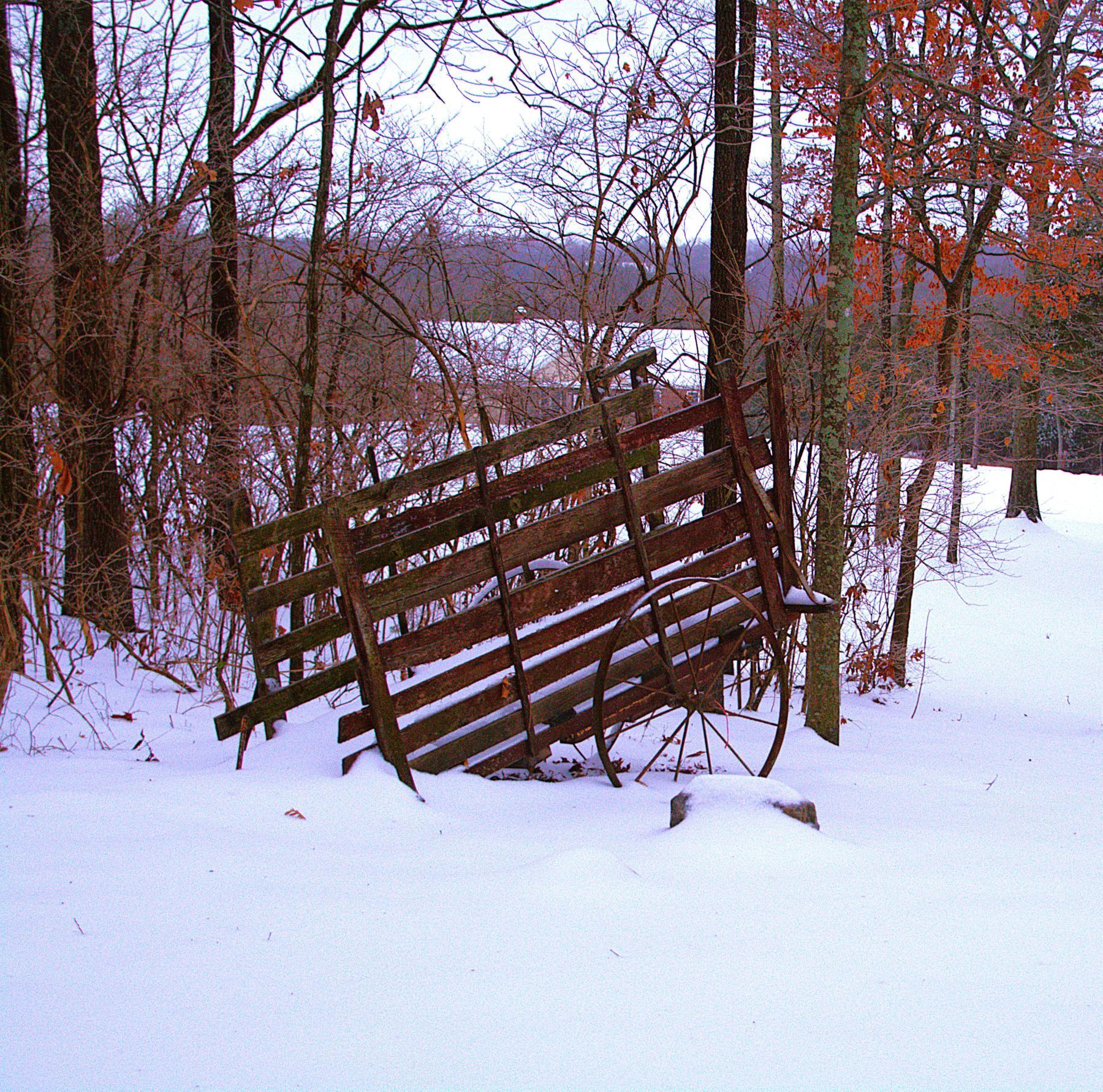 Snowy scene with a weathered wooden wagon frame leaning against trees.