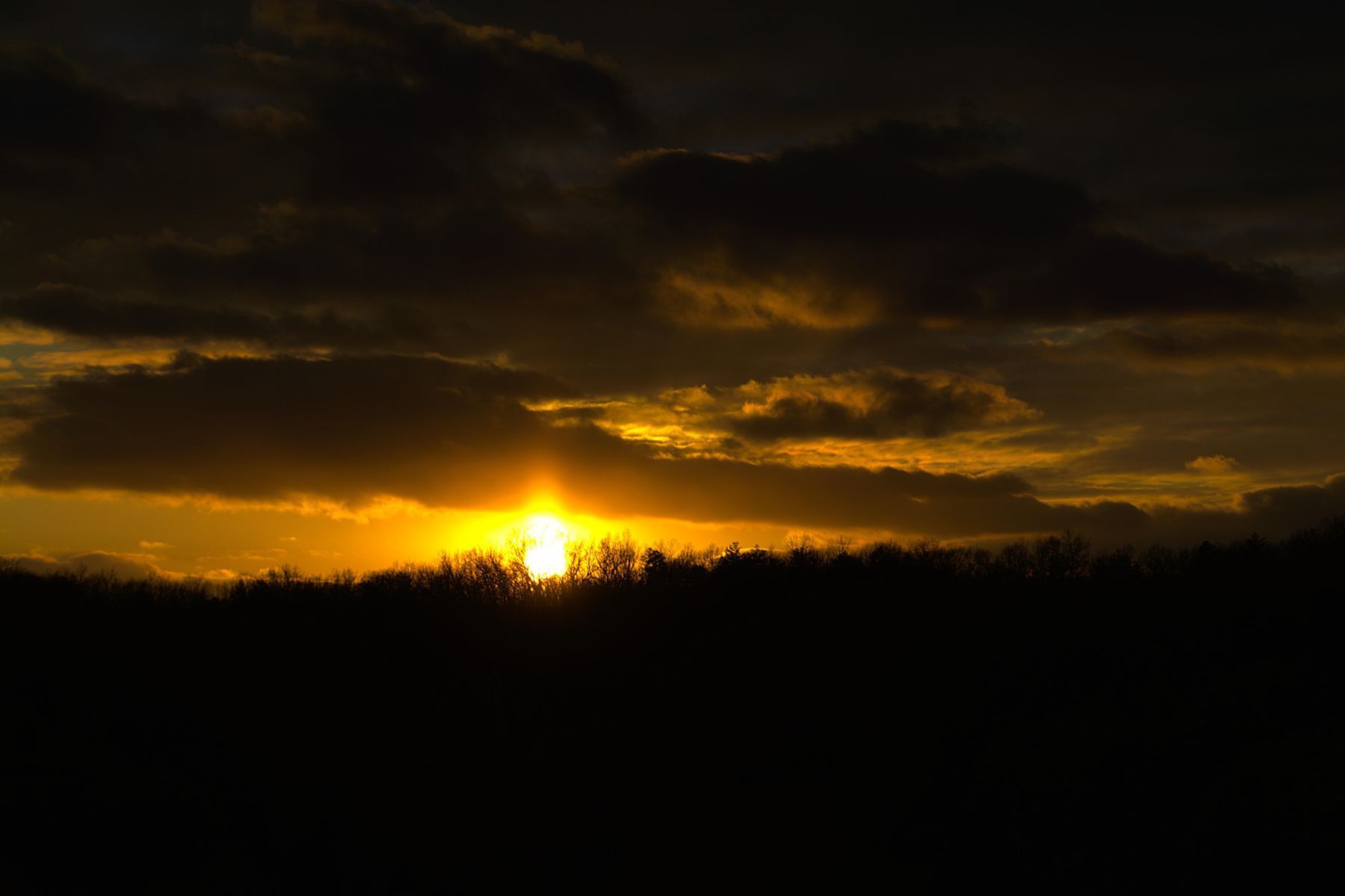 Setting sun behind dark treeline, golden light breaking through clouds.