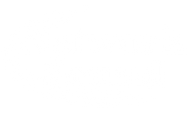 Network Sound logo