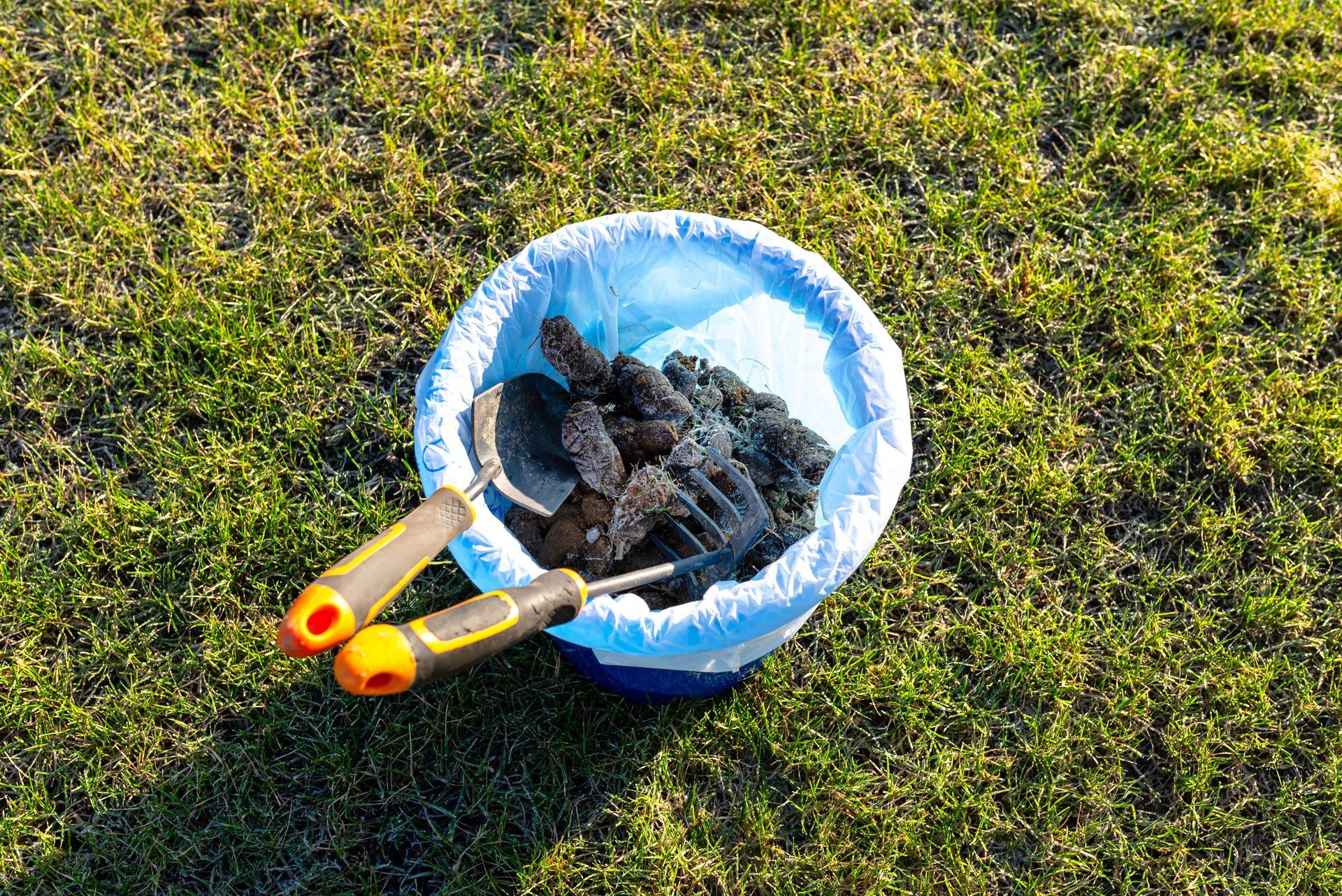 A blue bucket filled with tools is sitting on top of a lush green field.