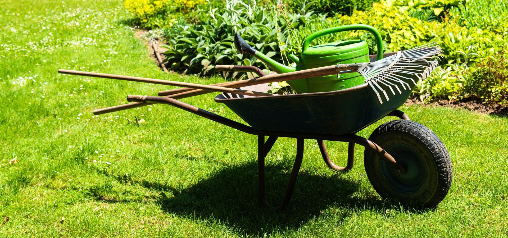 A wheelbarrow filled with gardening tools in a garden