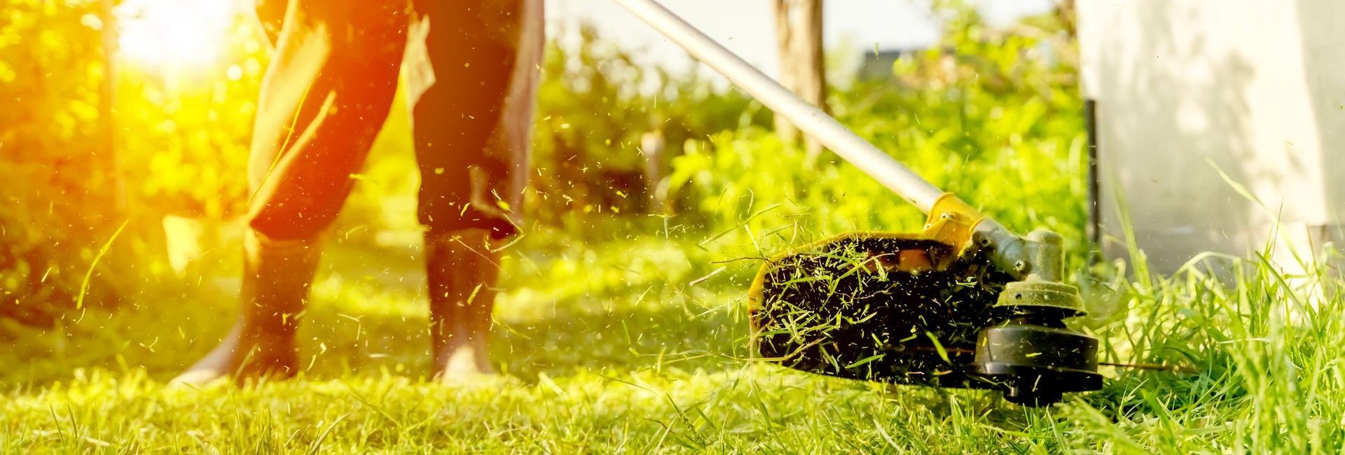 A person is using a lawn mower to cut the grass.