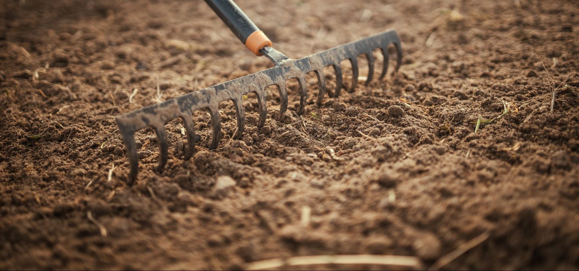 A rake is sitting on top of a pile of dirt.