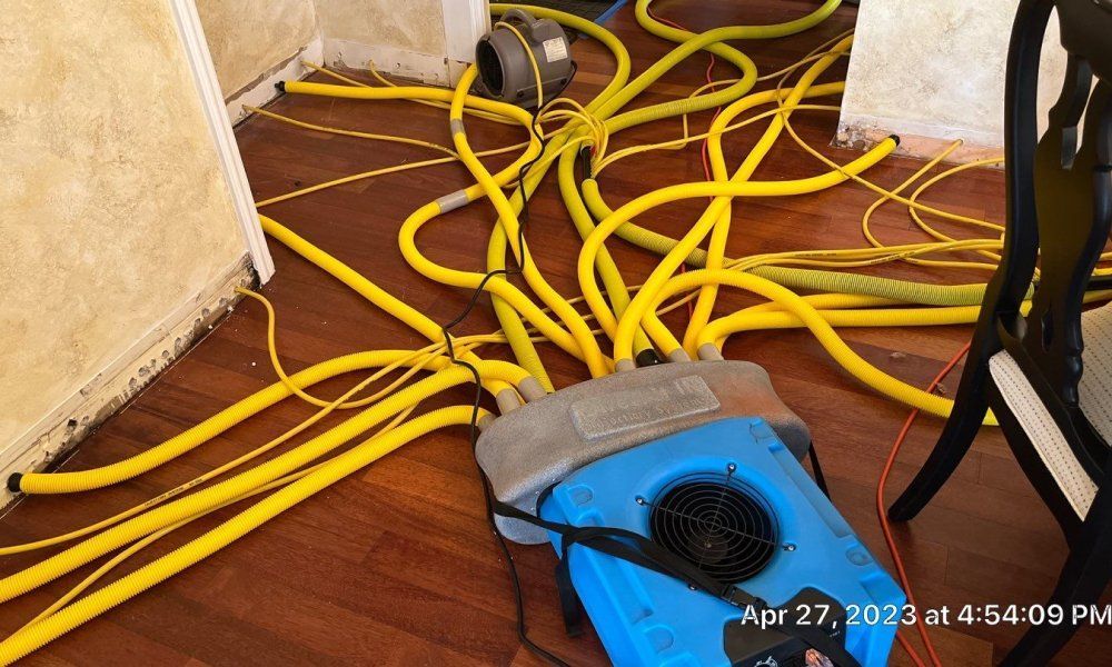 A blue fan is sitting on a wooden floor next to a bunch of yellow hoses.