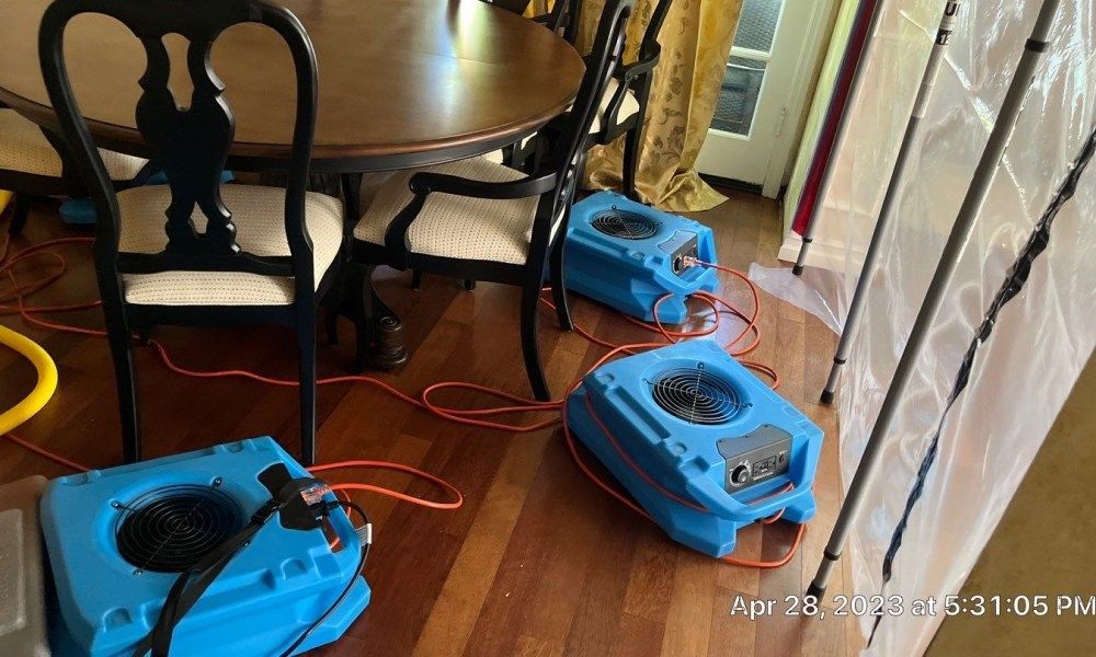A dining room with a table and chairs and two blue fans on the floor.