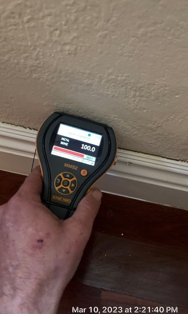 A person is holding a digital thermometer in their hand.