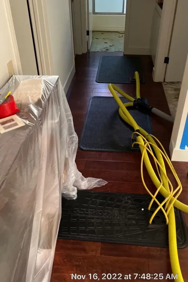 A hallway with a vacuum hose on the floor.