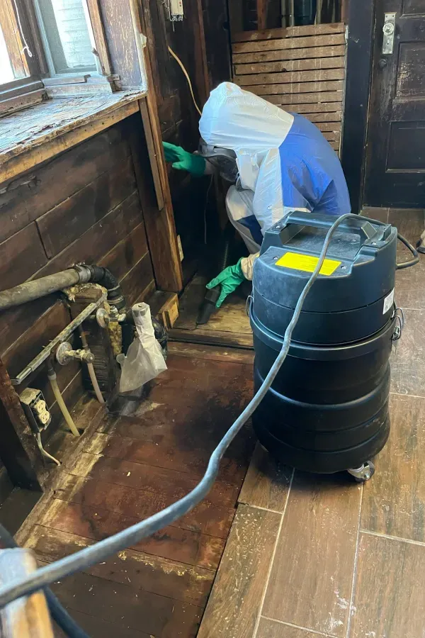 A man in a bee suit is cleaning a room with a vacuum cleaner.