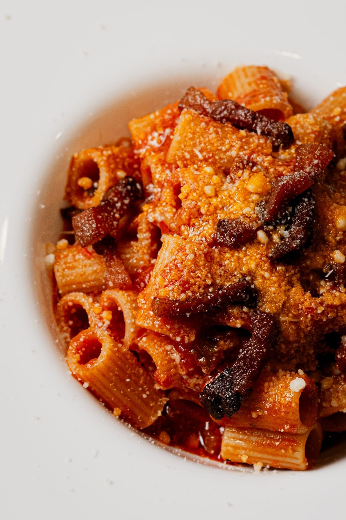 Paccheri all'amatriciana