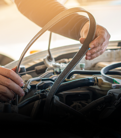 Up close of timing belt for replacement service for vehicle | Auburn City Imports