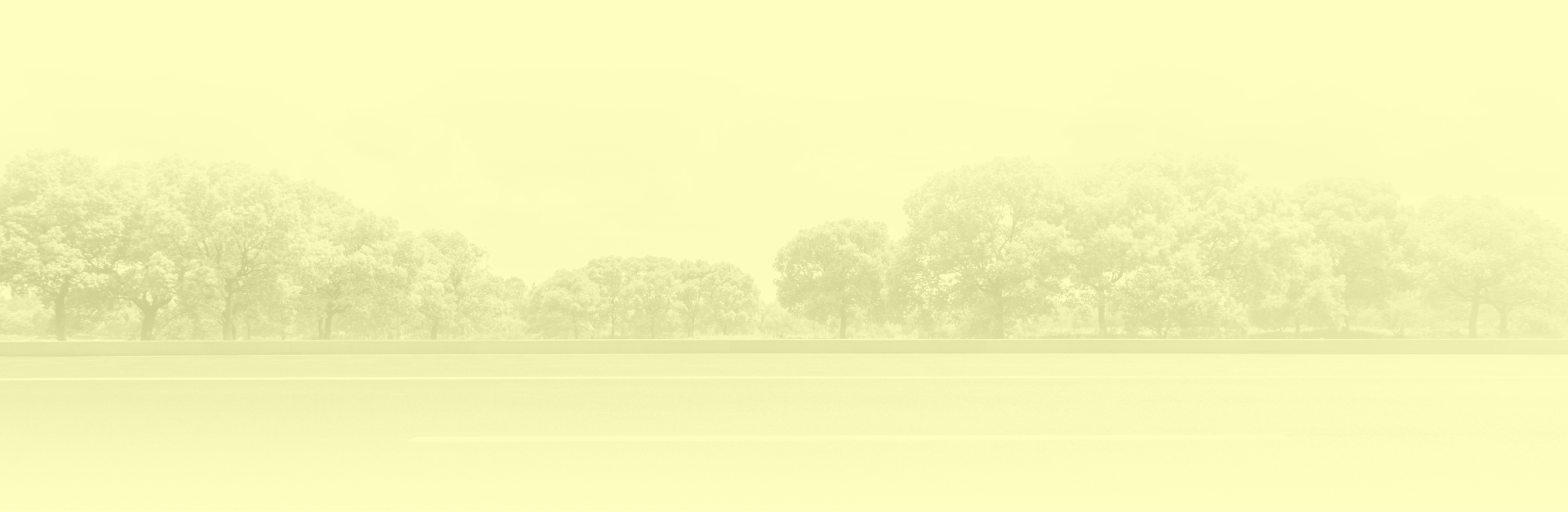 Background of trees alongside road with bright yellow overlay | Auburn City Imports