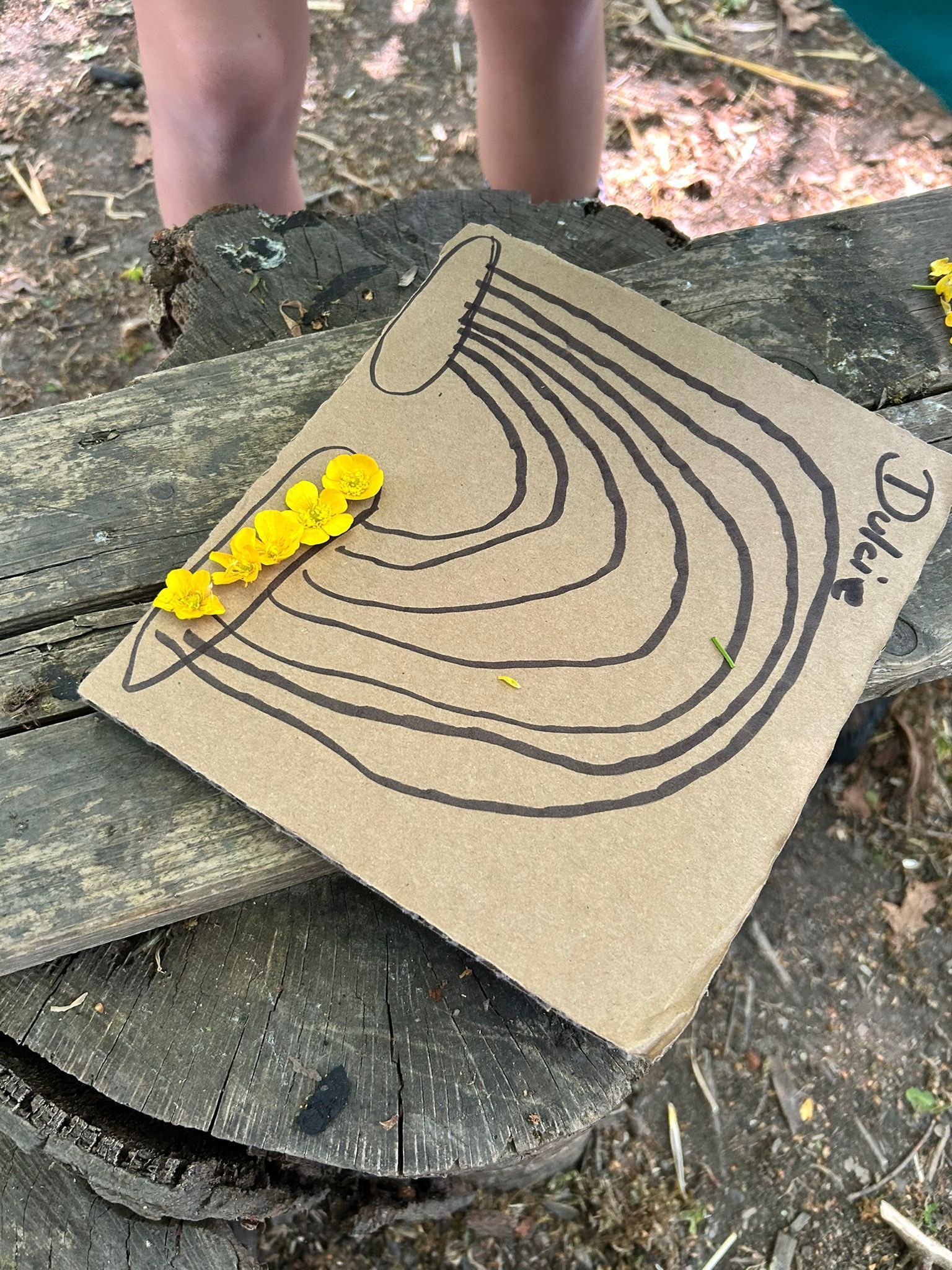 A drawing of curved lines, yellow flowers, on a piece of cardboard on a wooden stump.