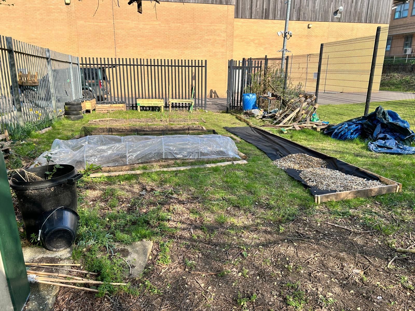 A garden with a fence and a lot of plants in it.