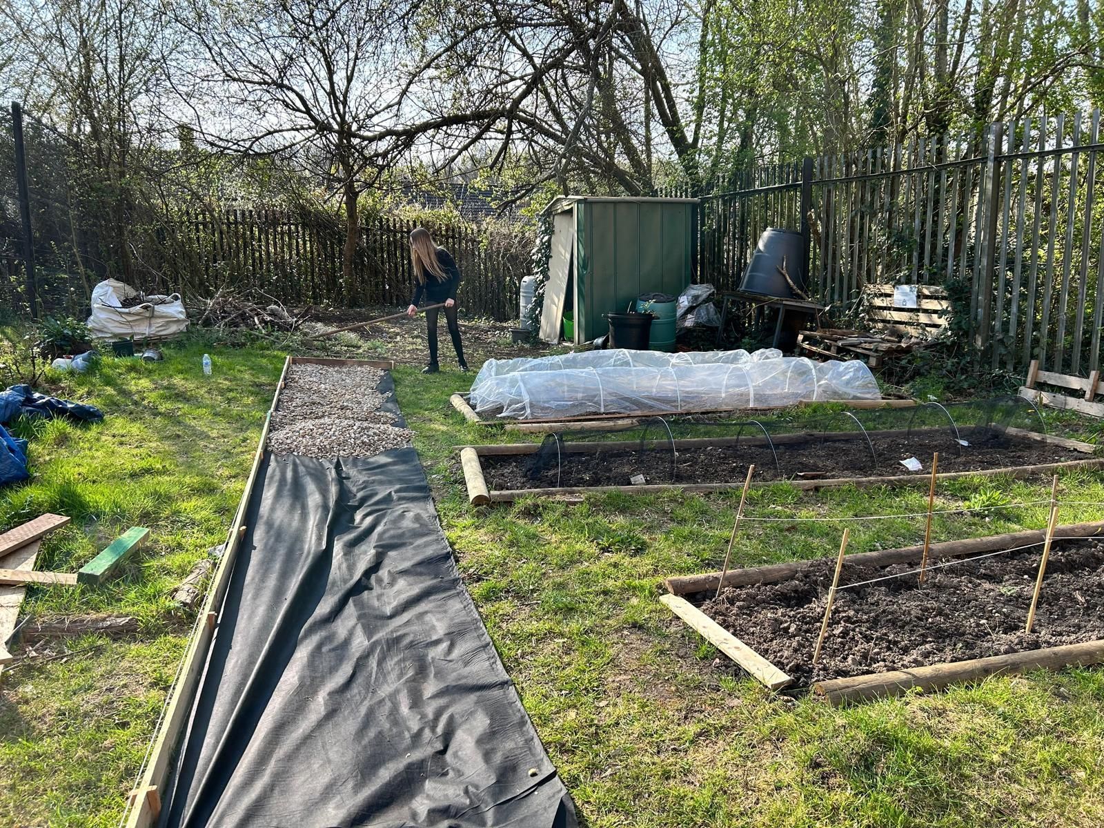 A garden with lots of plants and a greenhouse in the background.