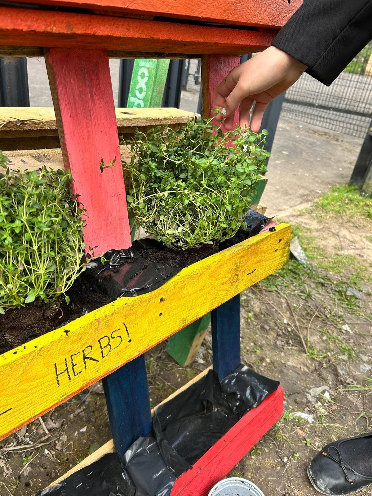 A person is planting plants in a wooden planter.