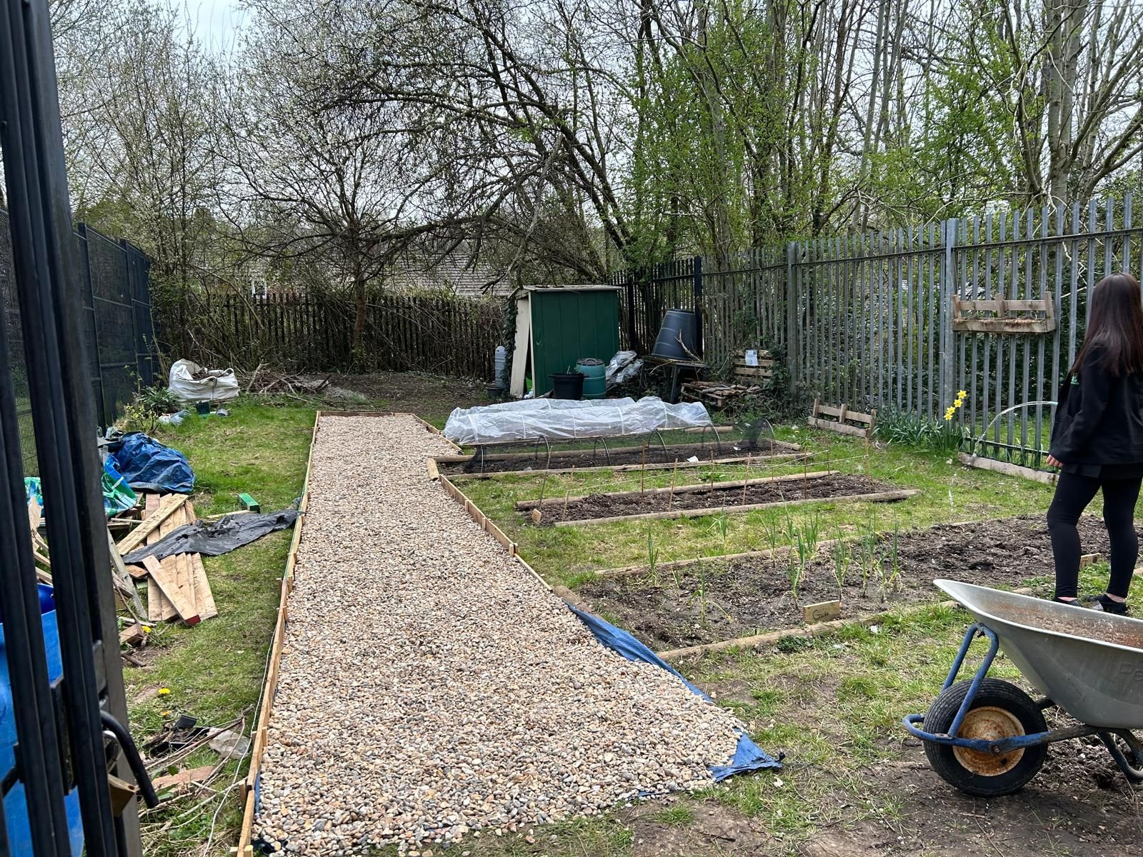 A woman is pushing a wheelbarrow in a garden.