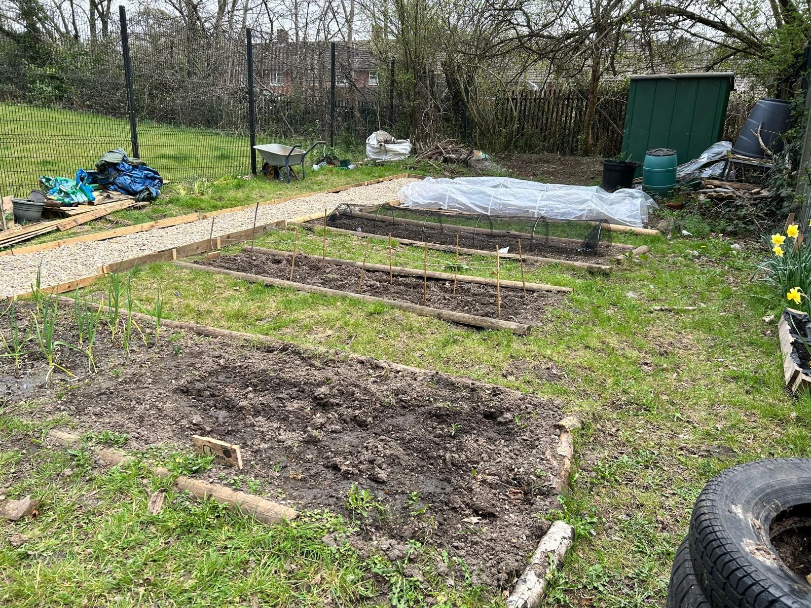 A garden with a lot of plants and a tire in the middle of it.